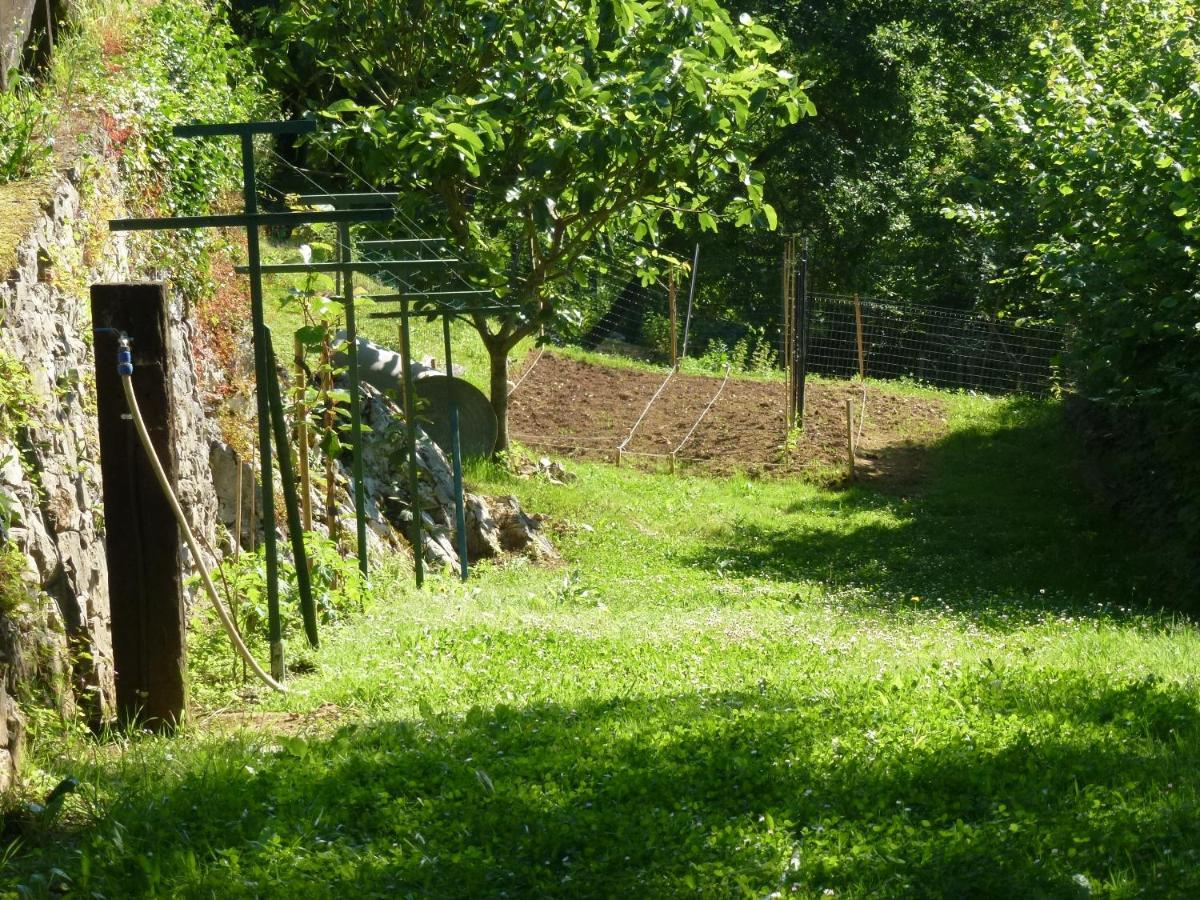 Casa Escuela De Torin - La Casona De Torin Pension Buitenkant foto